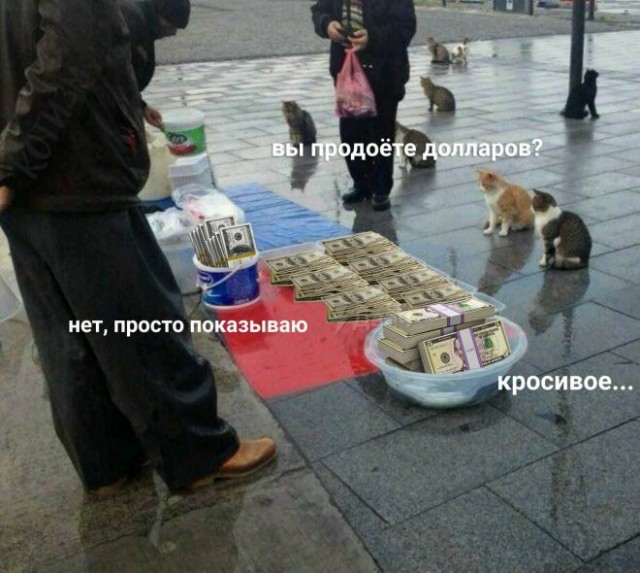Не бейте баяниста - играет, как может