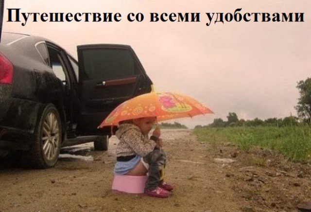 Весёлый полтишок 29.12.22