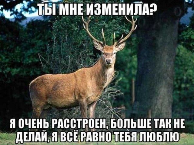 Жена не хочет заниматься сексом. Что делать?