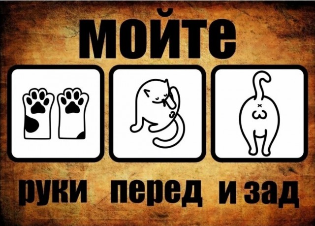 Как я рад, с членом хоть на гейпарад