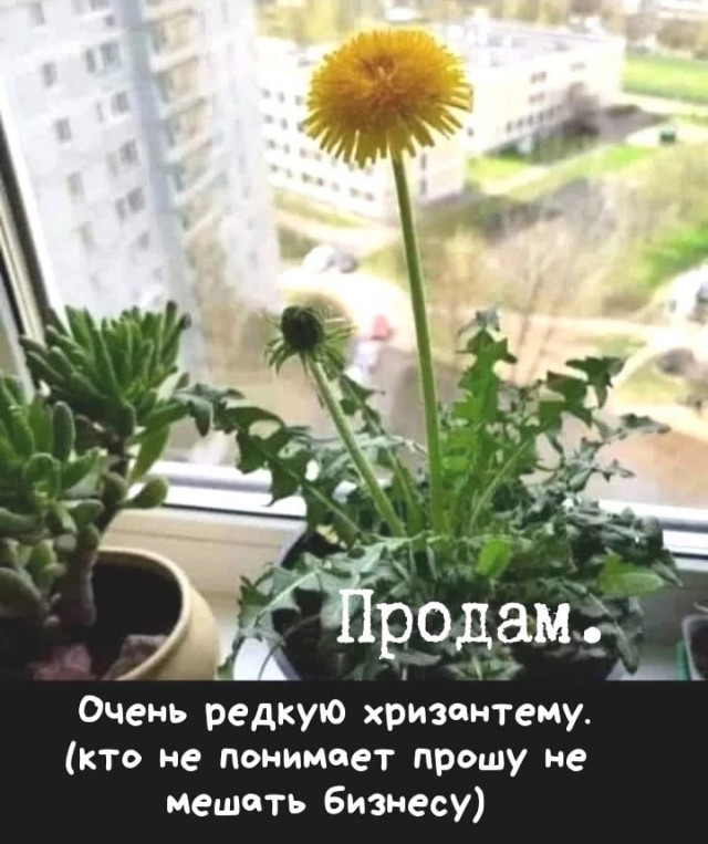 Подборка картинок 08.05.23