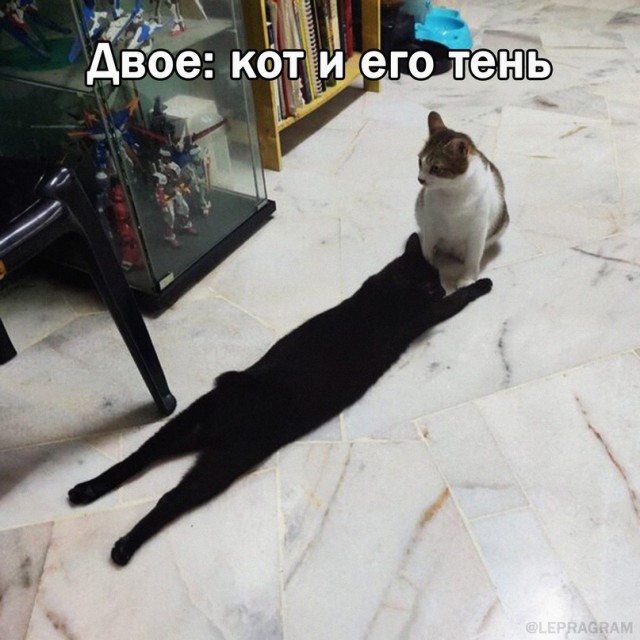 Картинки и мемы для настроения - 181