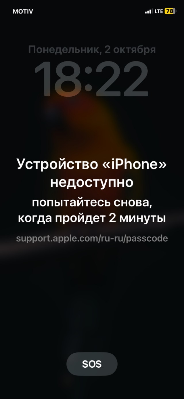 Россияне не оценили новый iPhone 15. Старт продаж провален