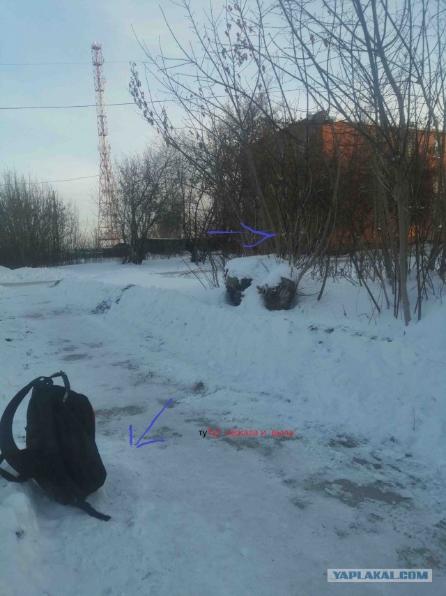 Собакочетверг или как я стал приемным папой