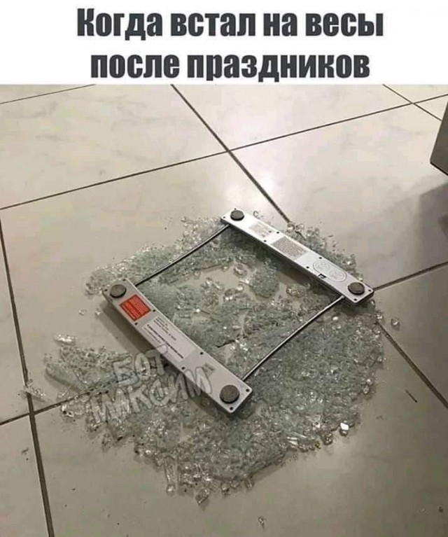 Новогодние картинки и тексты улыбательные (баяны и не очень)