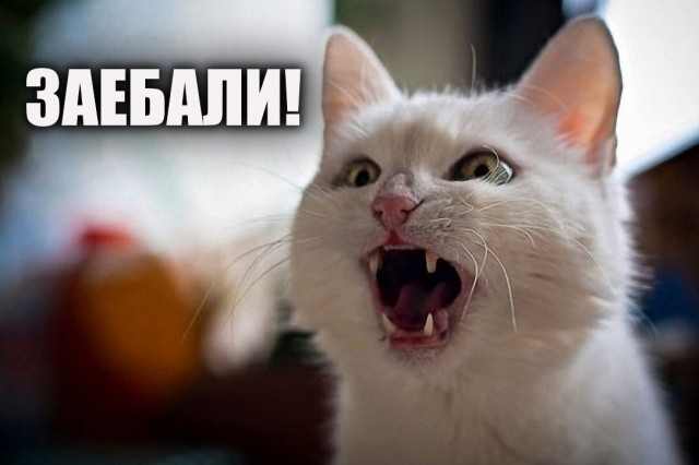 Народный артист Валерий Леонтьев уходит со сцены в связи с возрастом, сообщил СМИ его директор