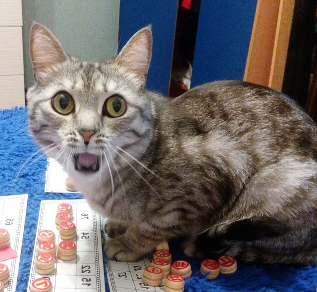 Сборник рассказов ЯПовских авторов. Обсуждение проблемы.