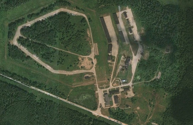 Тополя вернулись домой