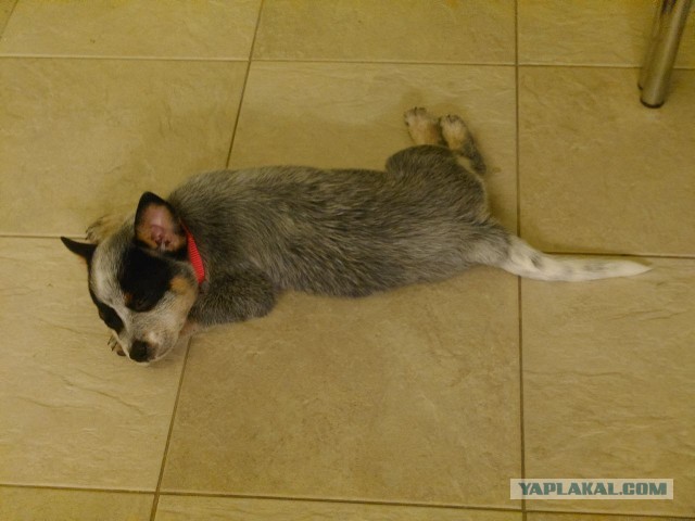 Хоть и пятница, ну да ладно
