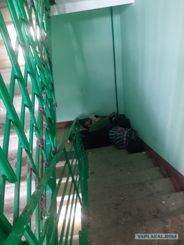 Олигофрены из Балашихи залетели в подъезд и сразу начали крушить почтовые ящики