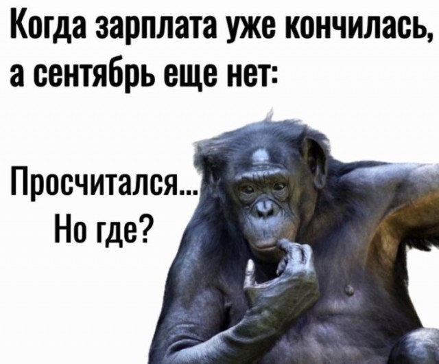 Веселые картинки к маленькой пятнице (25.09)