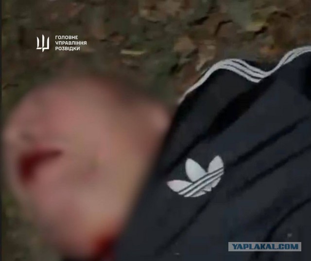 Разведка Украины заявила об убийстве полковника Российской армии. Специалист по беспилотникам якобы погиб в Подмосковье
