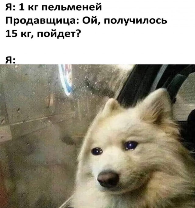 Весёлый полтишок 22.11.24