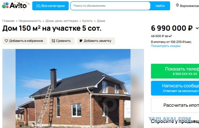 Белые начинают и проигрывают