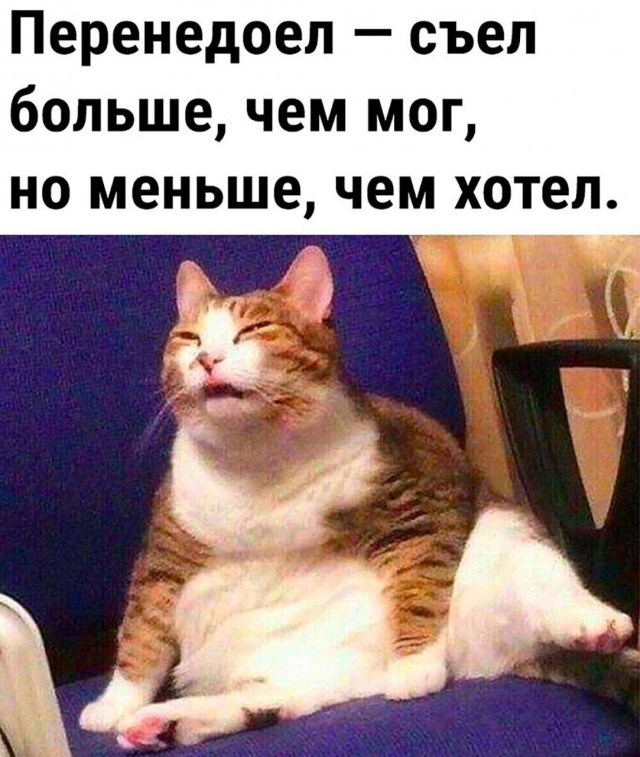 Весёлый полтишок 06.03.2025