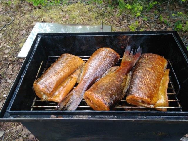 Искусство копчения: как выбор щепы влияет на вкус мяса