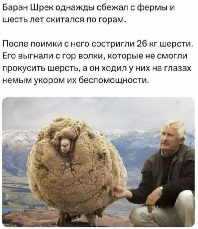 Маленькая пятница 14.05.25