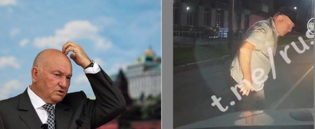 Решил воспитать, теперь репу чешет.