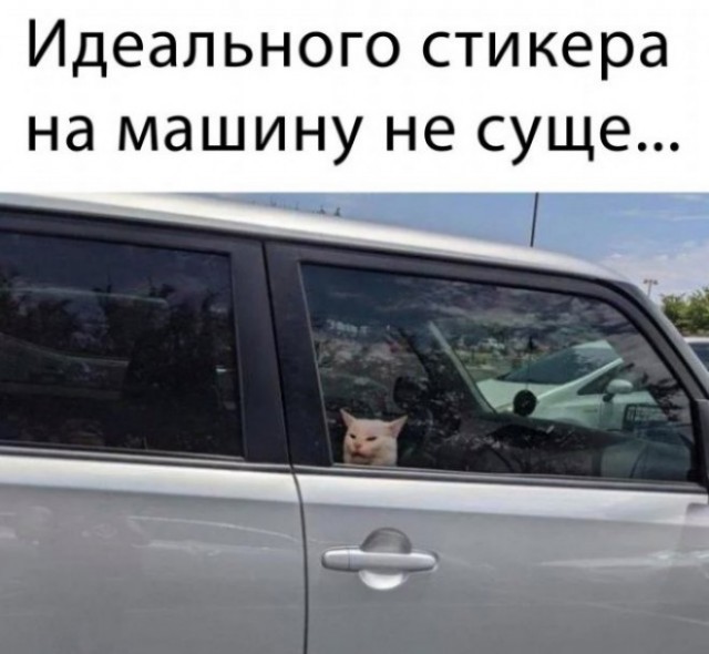 Веселые картинки в пятницу (04.07)