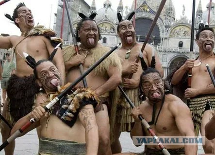 Война - херня. В ней главное - генетика!