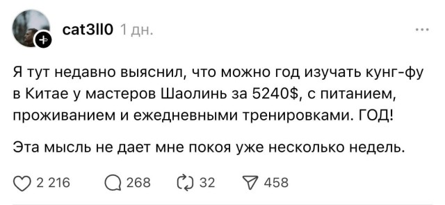 По цене года обучения в московском вузе в Китае можно стать кунг-фу мастером, выяснили в соцсетях