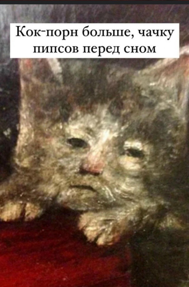 Кот принёс дичь