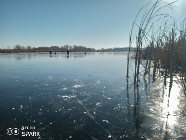 В последнюю осень. Читаем стихи
