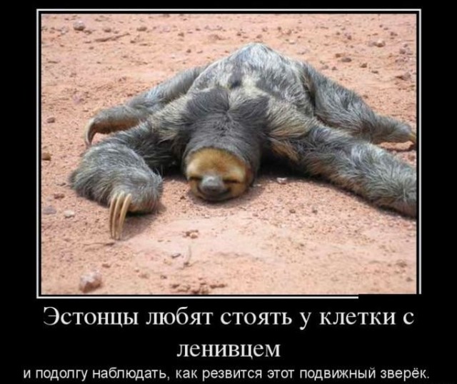 Концерт Limp Bizkit отменили в Эстонии из-за плаката с поддержкой РФ