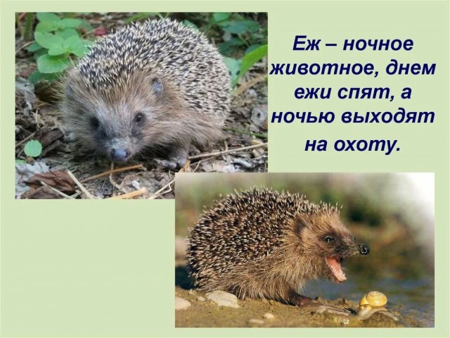 Прикольные и просто красивые картинки 14.11.2025