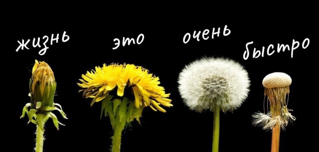 хочу поинтересоваться, куда пропал бордос (он же BORDOS)