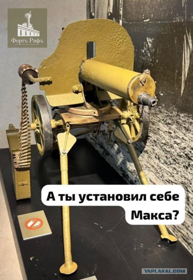 Розы гибнут на газонах...