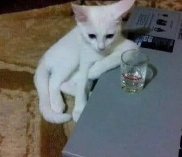 Видимо пора еб@нуть *зачёркнуто*