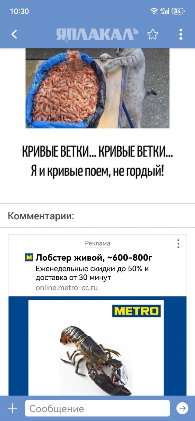 Игра слов в картинках 02.01.26