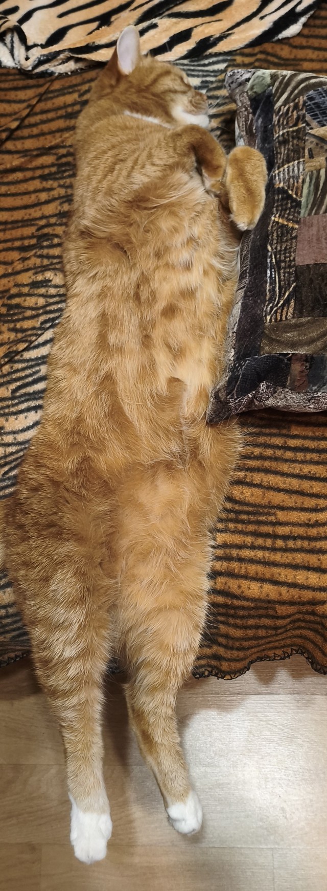 Нашелся таки хозяин (точнее хозяйка)