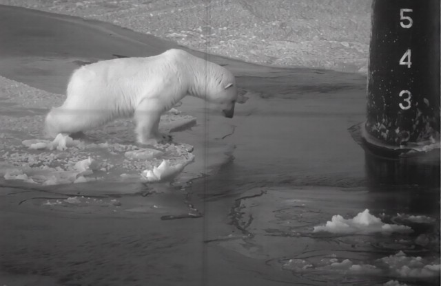 Фотографии из прошлого нашей страны – 134