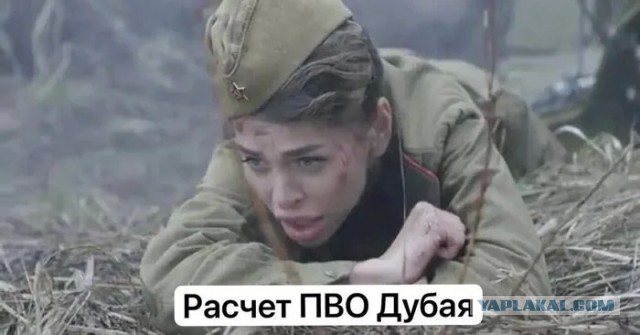 Картинки для деградации 157 (разной степени свежести)