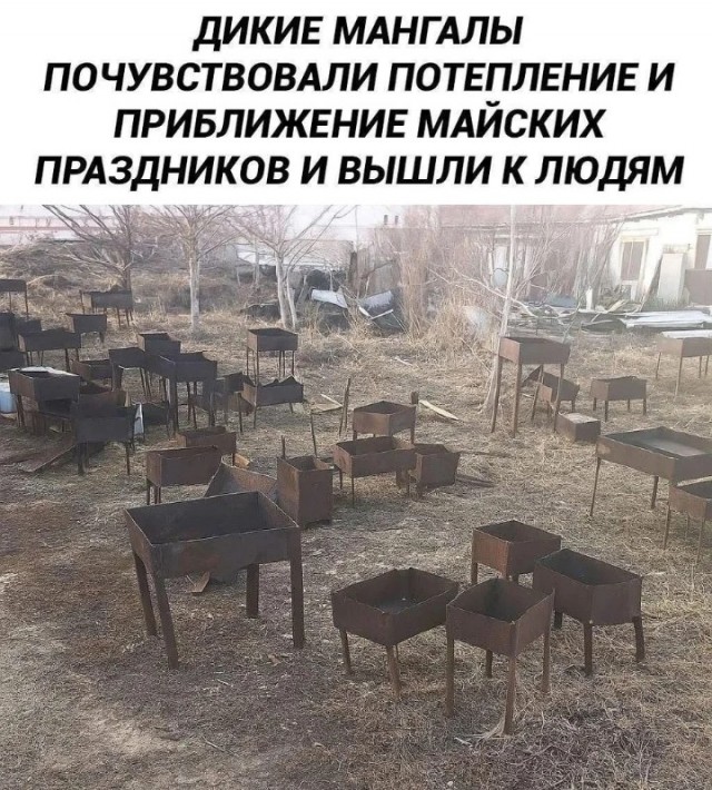 Пост о *непечатно*