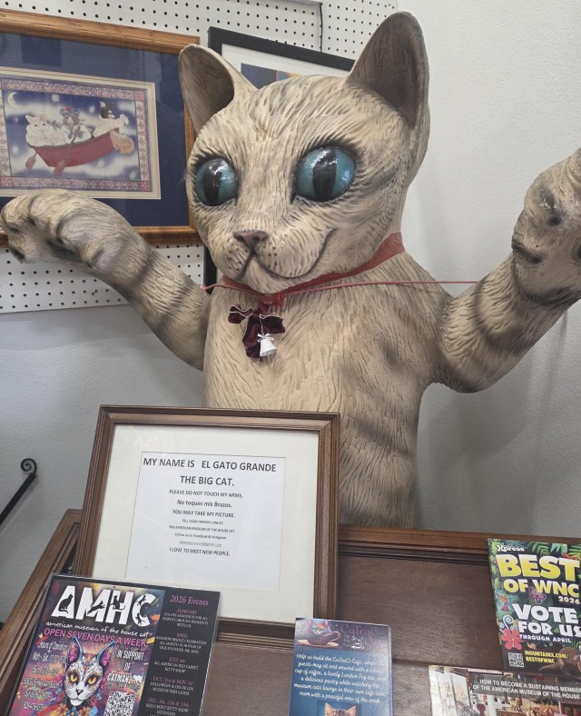 Американский музей домашней кошки