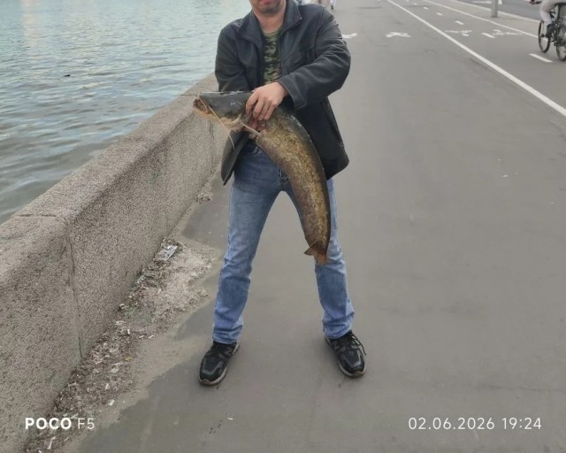 Вы рып показываете?!