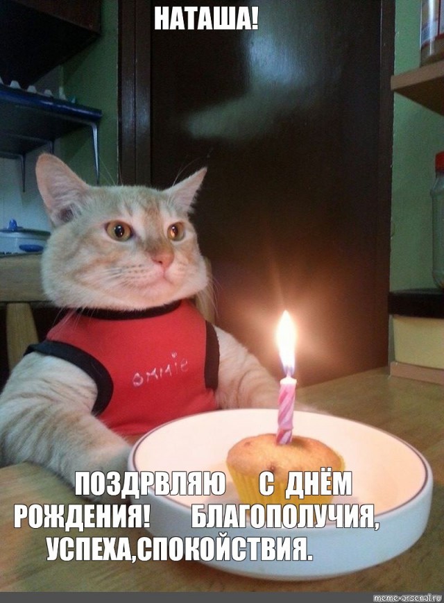 Найди себе уже мужика, Наташа!
