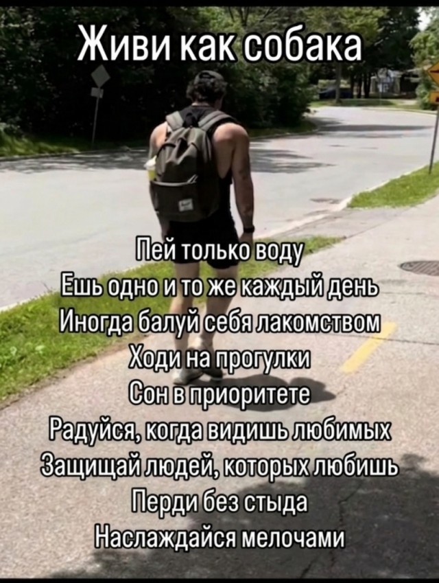 Картинки для деградации 248 (разной степени свежести)