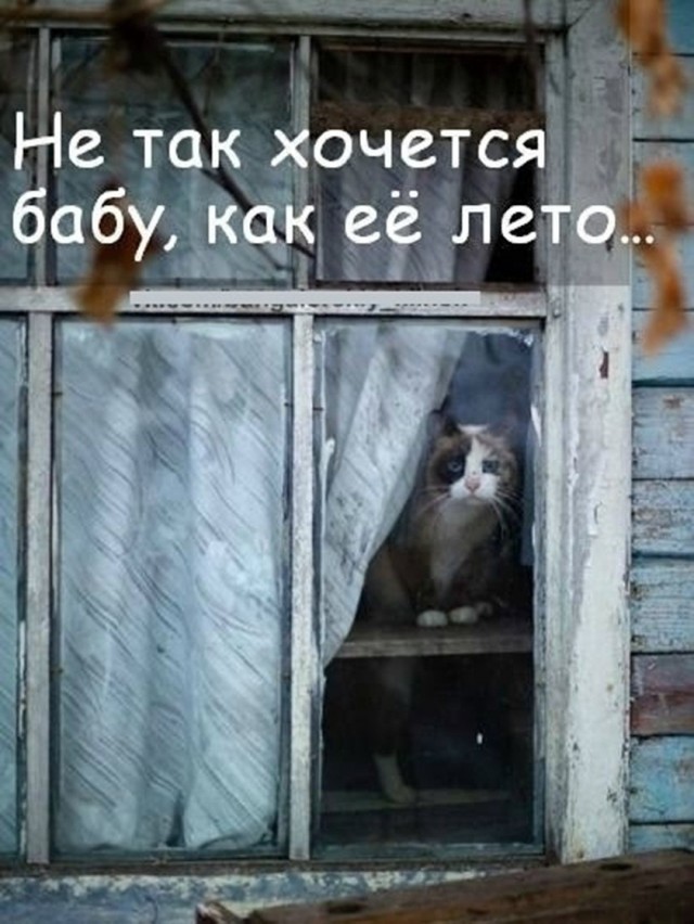 Так себе картинки 01.09.26