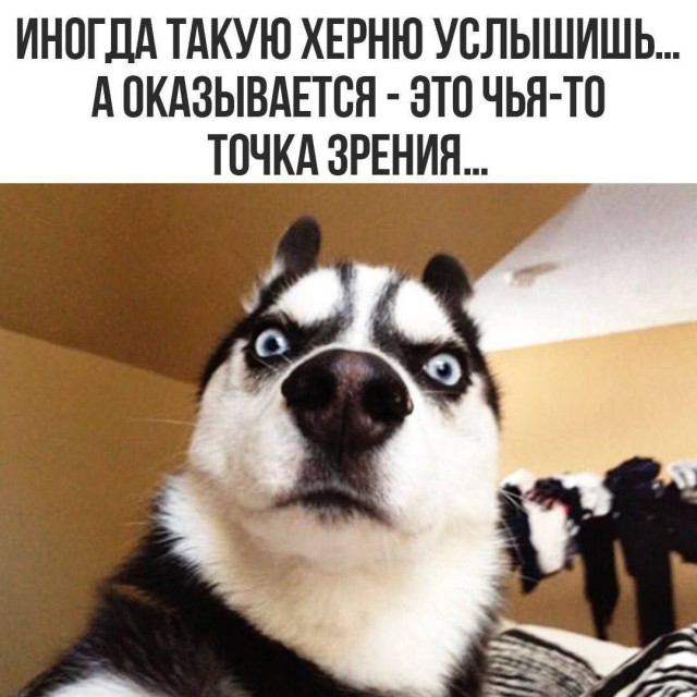 Картинки для деградации 281 (разной степени свежести)