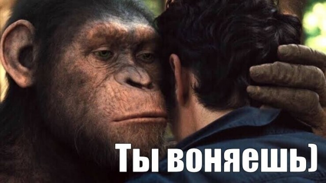 Вонючие носки + ноги.