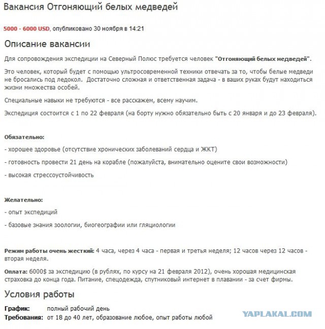 Профессионалы в поисках трудоустройства