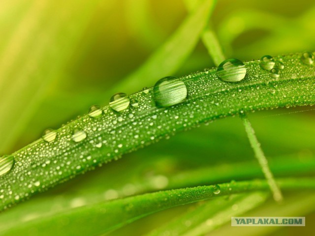 Плюсомет со шпалометом