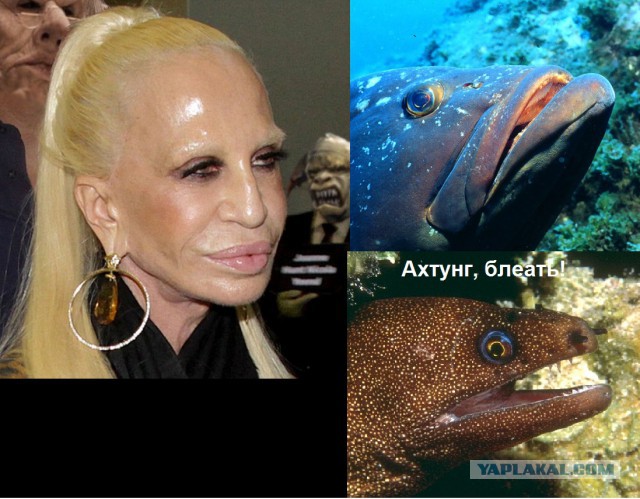 Донателла Версаче - усраться и не встать!