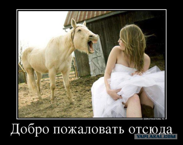 Моя подборка веселенькой мути