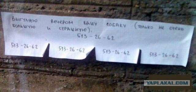 20 объявлений месяца, которыми мы гордимся
