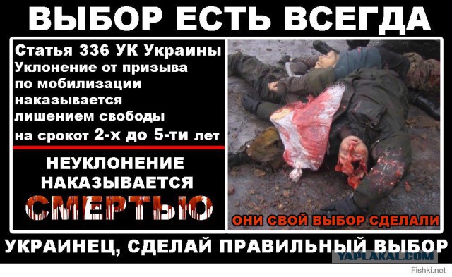 Вся суть укропов